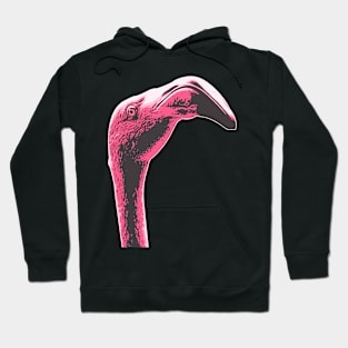 Funny Flamingo Hoodie